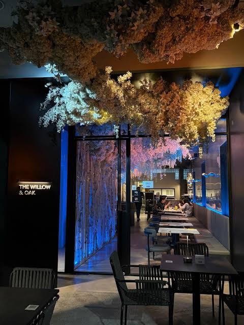 The Willow & Oak Café